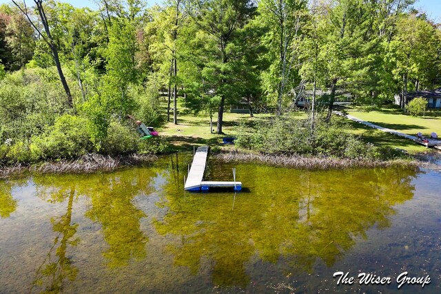 1261 W Channel St, Bitely, MI 49309 - view of surrounding community