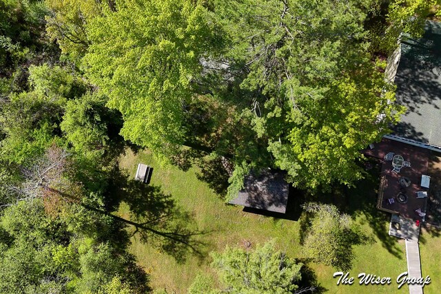 1261 W Channel St, Bitely, MI 49309 - drone / aerial view