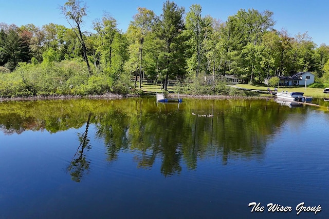 1261 W Channel St, Bitely, MI 49309 - water view