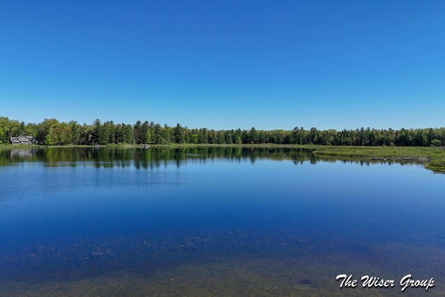 1261 W Channel St, Bitely, MI 49309 - water view with a forest