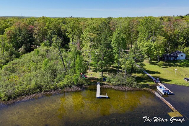 1261 W Channel St, Bitely, MI 49309 - bird's eye view of a forest