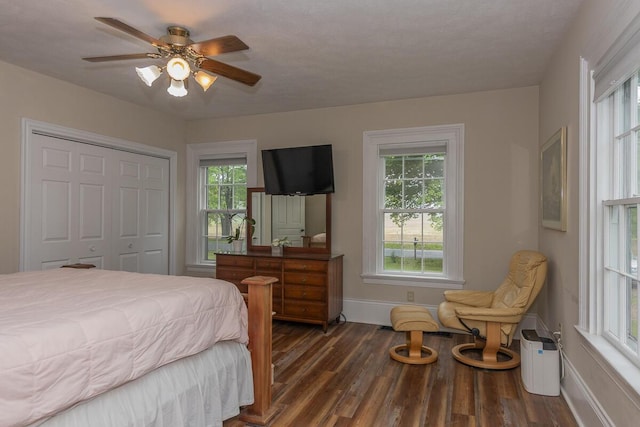 7610 W Kl Ave, Kalamazoo, MI 49009 - bedroom with multiple windows, dark wood-type flooring, baseboards, and a closet