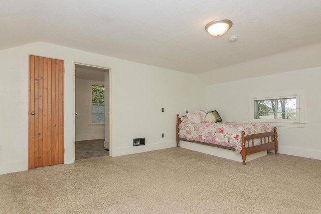 7610 W Kl Ave, Kalamazoo, MI 49009 - carpeted bedroom with vaulted ceiling, baseboards, and connected bathroom