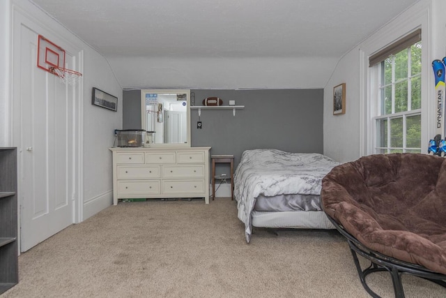 7610 W Kl Ave, Kalamazoo, MI 49009 - carpeted bedroom featuring lofted ceiling
