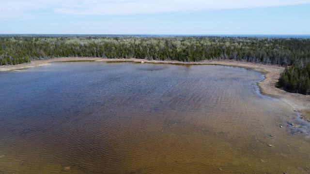 V/L118A S Cream City Point Rd, Drummond Island, MI 49726