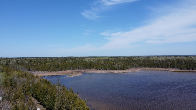 V/L118A S Cream City Point Rd, Drummond Island, MI 49726