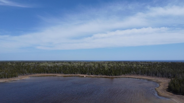 V/L118A S Cream City Point Rd, Drummond Island, MI 49726