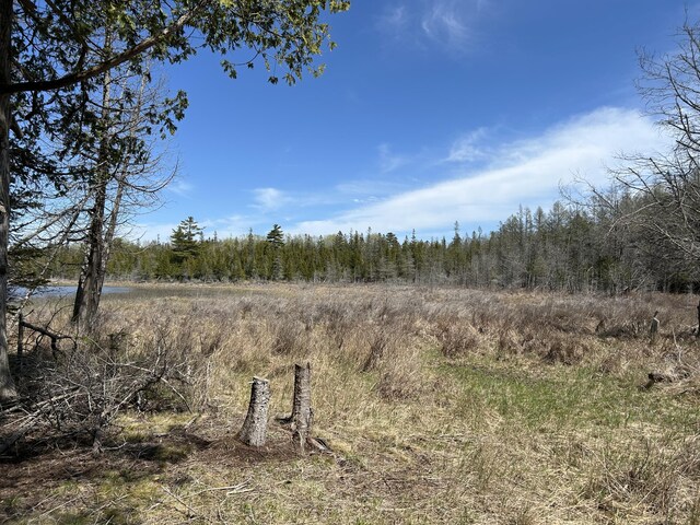 V/L118A S Cream City Point Rd, Drummond Island, MI 49726