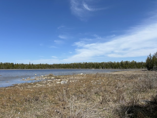 V/L118A S Cream City Point Rd, Drummond Island, MI 49726