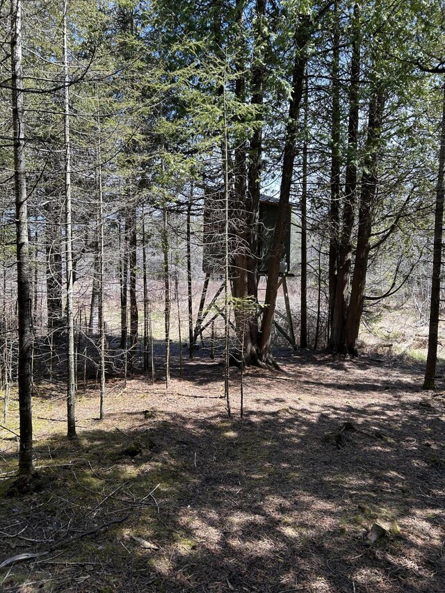V/L118A S Cream City Point Rd, Drummond Island, MI 49726