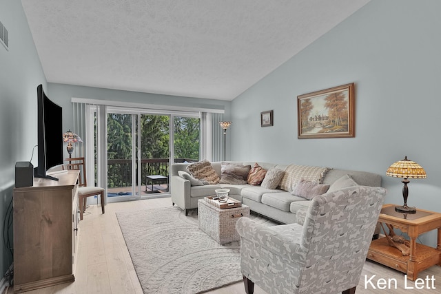 936 Amber View Dr SW Unit 160, Byron Center, MI 49315 - living area with light wood finished floors, vaulted ceiling, and a textured ceiling