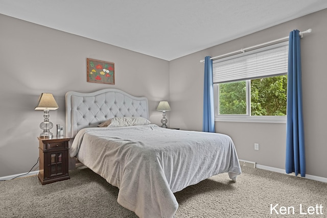 936 Amber View Dr SW Unit 160, Byron Center, MI 49315 - carpeted bedroom featuring baseboards