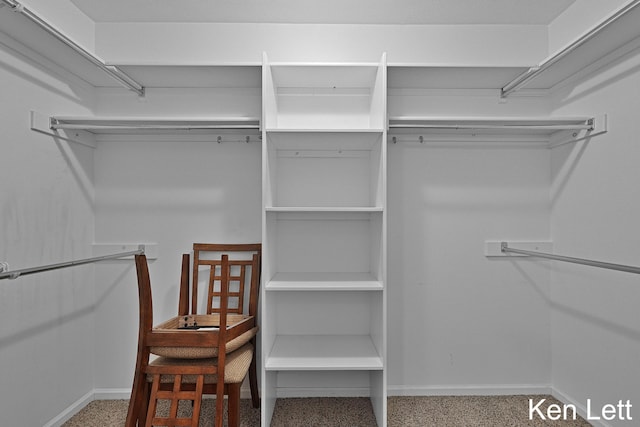 936 Amber View Dr SW Unit 160, Byron Center, MI 49315 - view of spacious closet