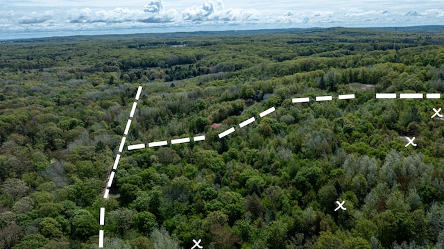 PARCELD N 28th Ave, Mears, MI 49436 - photo 2