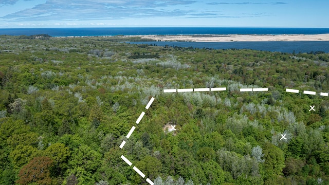 PARCELD N 28th Ave, Mears, MI 49436 - photo 3