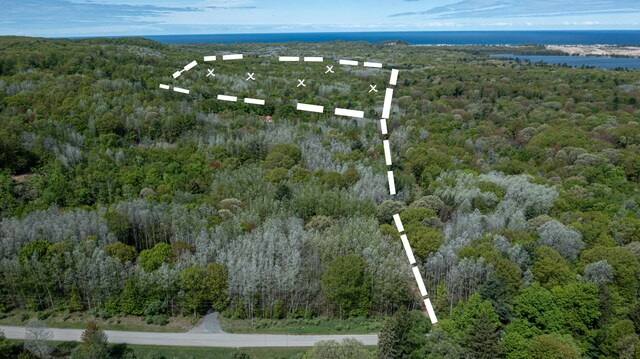 PARCELD N 28th Ave, Mears, MI 49436 - photo 4