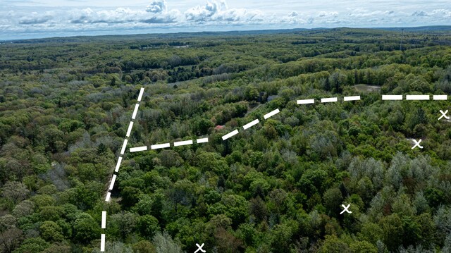 PARCELD N 28th Ave, Mears, MI 49436 - photo 5