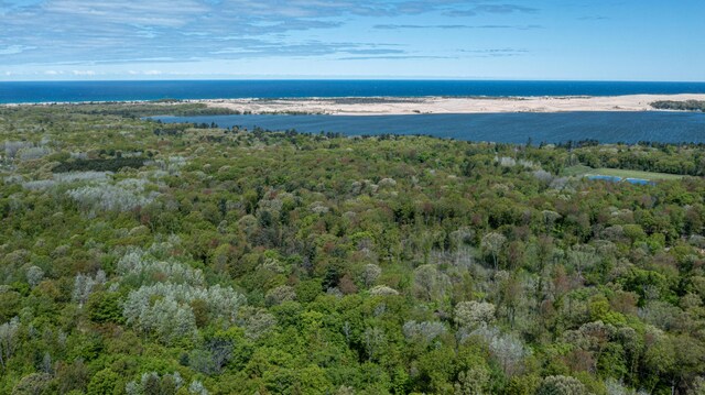 PARCELD N 28th Ave, Mears, MI 49436 - photo 6
