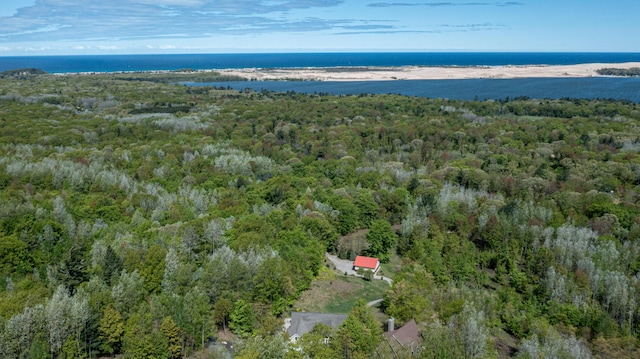 PARCELD N 28th Ave, Mears, MI 49436 - photo 7