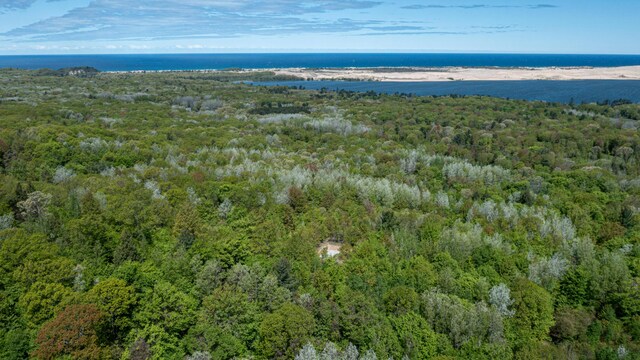 PARCELD N 28th Ave, Mears, MI 49436 - photo 8