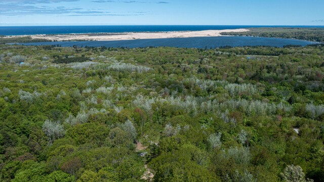 PARCELD N 28th Ave, Mears, MI 49436 - photo 9
