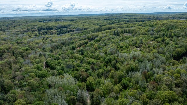 PARCELD N 28th Ave, Mears, MI 49436 - photo 10