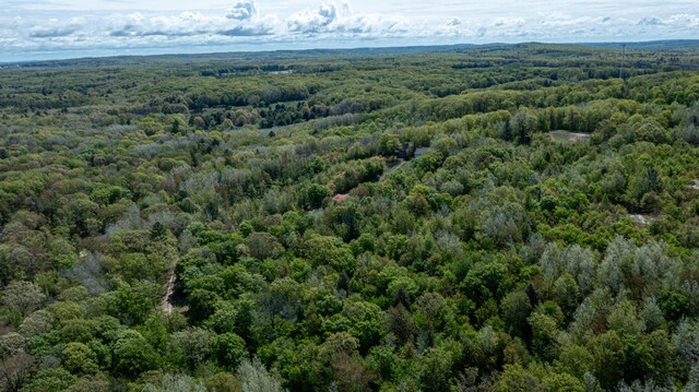 PARCELD N 28th Ave, Mears, MI 49436 - photo 11