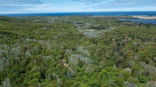PARCELD N 28th Ave, Mears, MI 49436 - photo 12