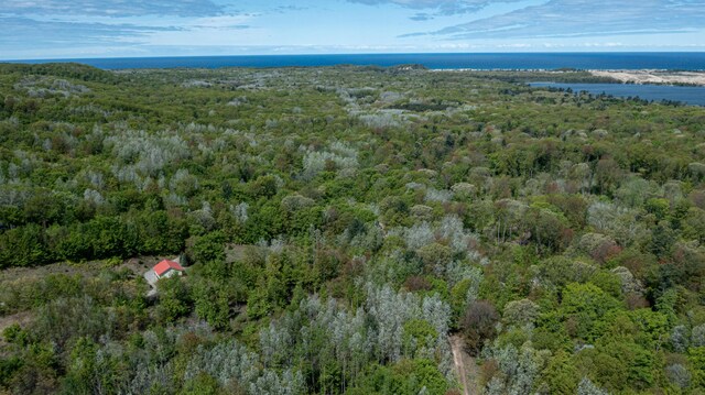 PARCELD N 28th Ave, Mears, MI 49436 - photo 13