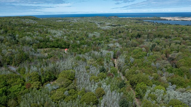 PARCELD N 28th Ave, Mears, MI 49436 - photo 14