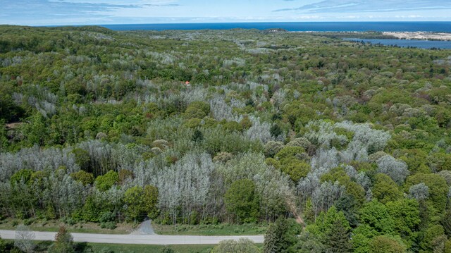 PARCELD N 28th Ave, Mears, MI 49436 - photo 15