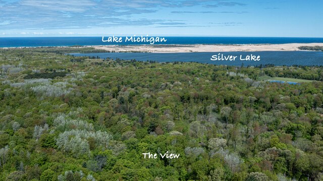 PARCELD N 28th Ave, Mears, MI 49436 - photo 1