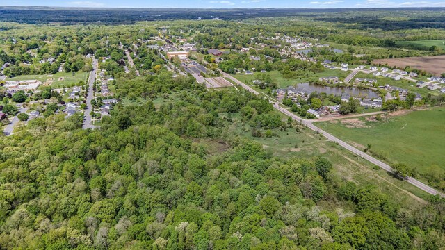 700 E Woodlawn Ave, Hastings, MI 49058 - photo 8