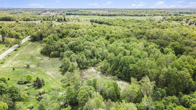 700 E Woodlawn Ave, Hastings, MI 49058 - photo 11