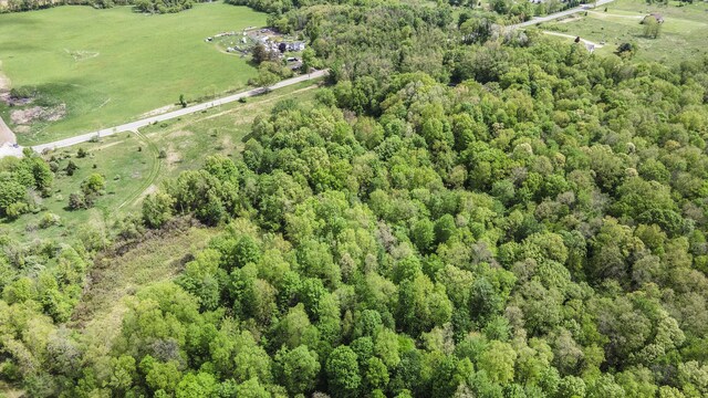 700 E Woodlawn Ave, Hastings, MI 49058 - photo 12