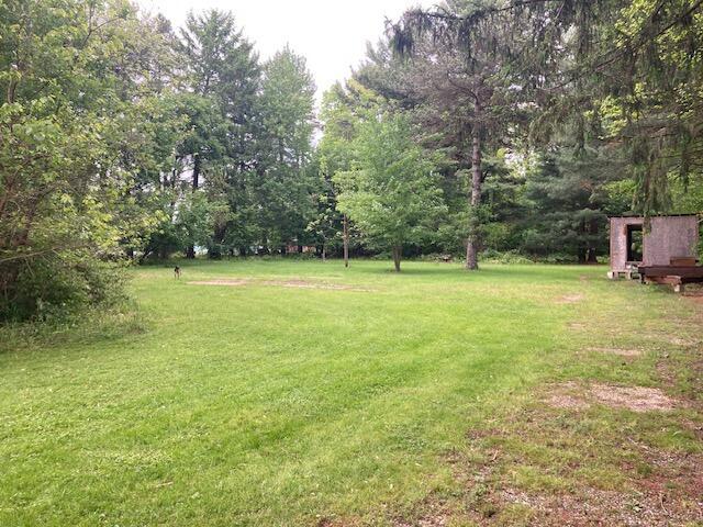 2503 Milford Rd, Parma, MI 49269 - photo 7