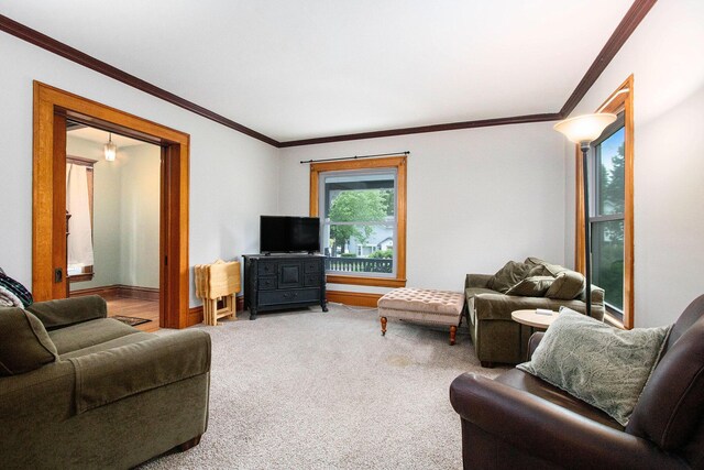 110 N O Keefe St, Cassopolis, MI 49031 - living room with carpet floors, crown molding, and baseboards