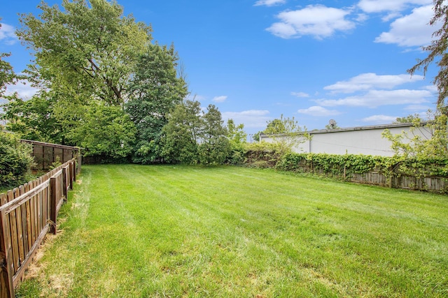 110 N O Keefe St, Cassopolis, MI 49031 - view of yard