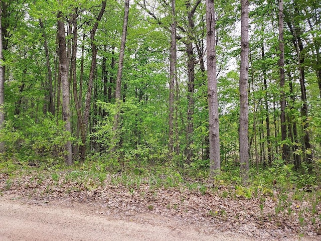 00 Buck Ln Unit 66, Harrison, MI 48625