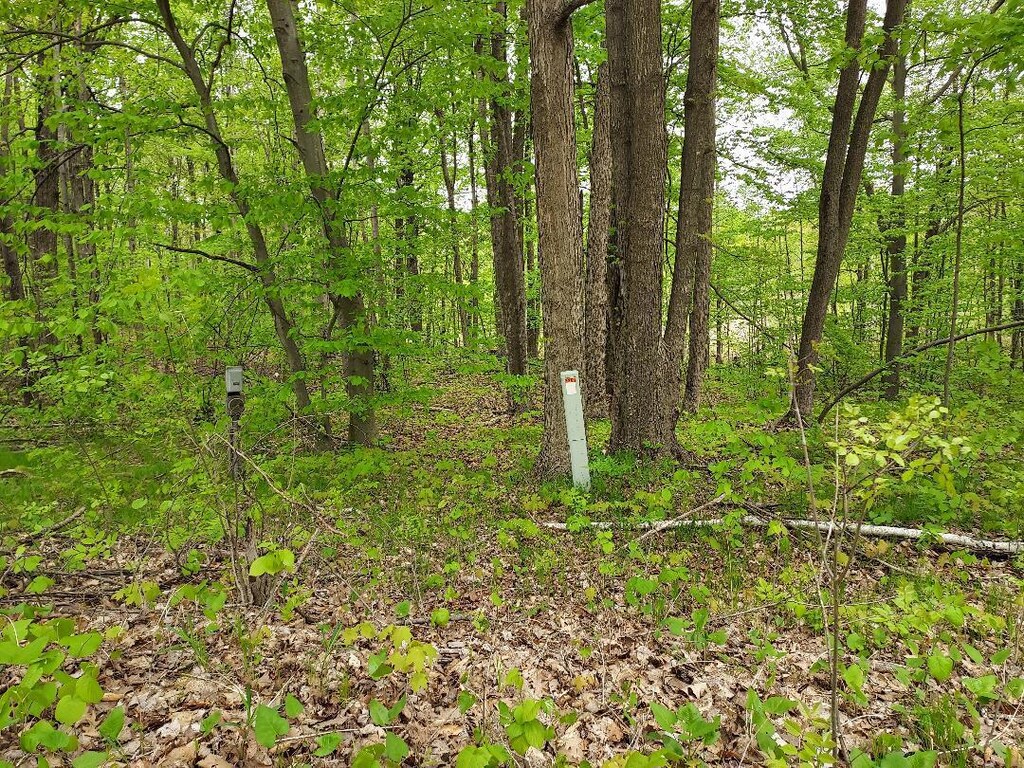 00 Buck Ln Unit 66, Harrison, MI 48625