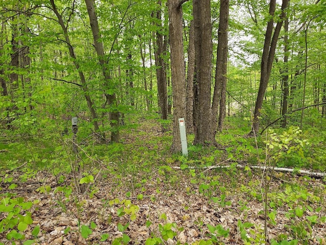 00 Buck Ln Unit 66, Harrison, MI 48625