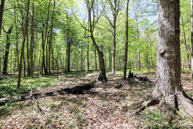 59371 4th Ave Lot # Wp001, Grand Junction, MI 49056