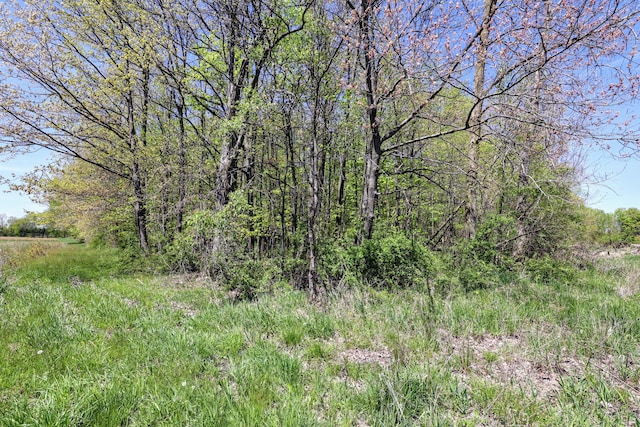 59371 4th Ave Lot # Wp001, Grand Junction, MI 49056