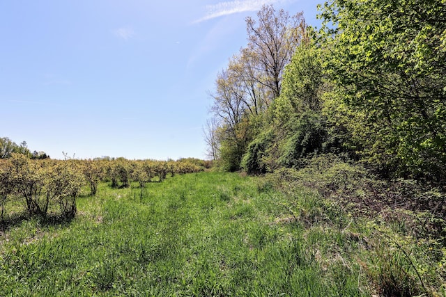 59371 4th Ave Lot # Wp001, Grand Junction, MI 49056