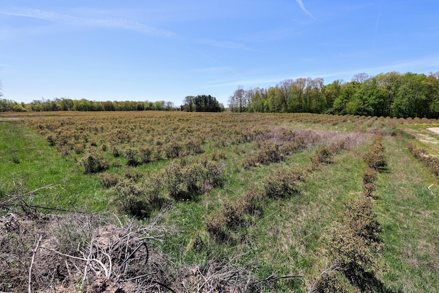 59371 4th Ave Lot # Wp001, Grand Junction, MI 49056
