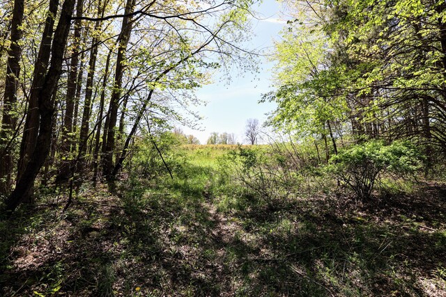 59371 4th Ave Lot # Wp001, Grand Junction, MI 49056