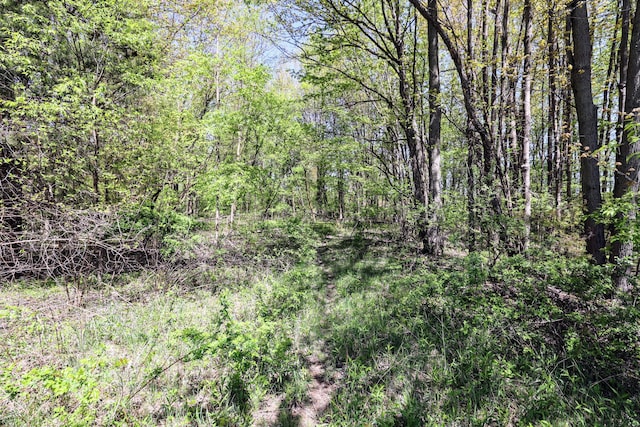 59371 4th Ave Lot # Wp001, Grand Junction, MI 49056