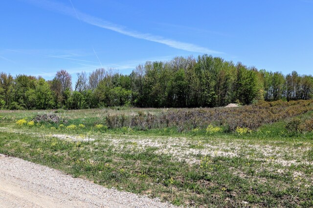 59371 4th Ave Lot # Wp001, Grand Junction, MI 49056