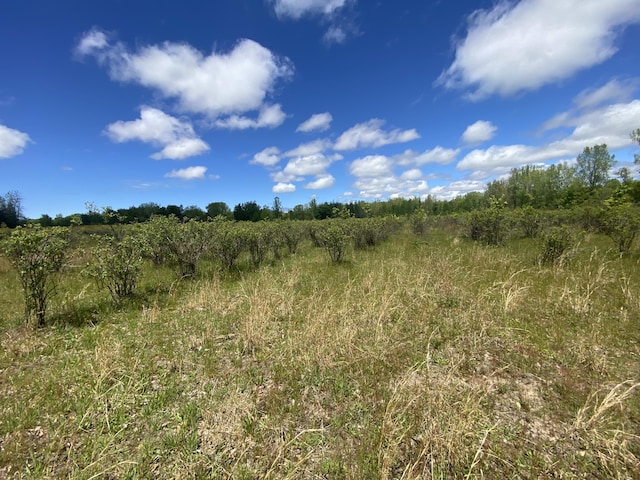 62nd St, Grand Junction, MI 49056