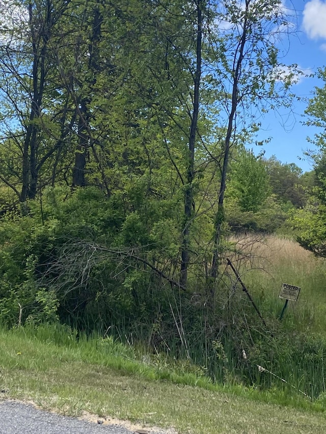 62nd St, Grand Junction, MI 49056